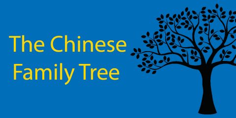 The Unnecessarily Complicated Chinese Family Tree 👨‍👩‍👧‍👧 Explained & Answered Thumbnail