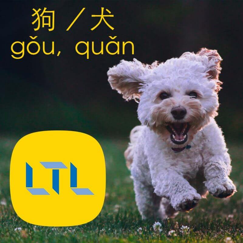 Dogs in Mandarin