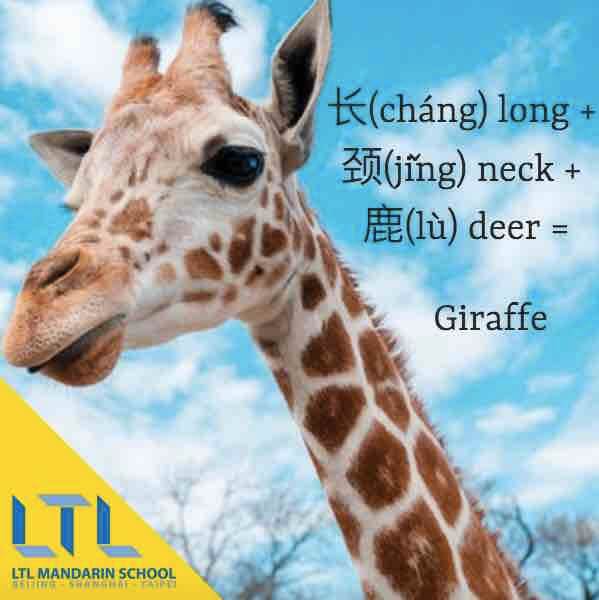 Giraffe in Chinese