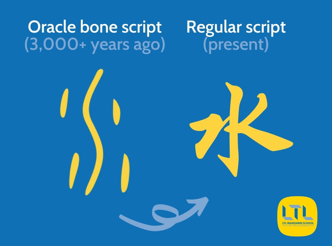 Chinese Vocabulary Quiz