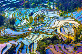 Yunnan hosts some mindblowing sights