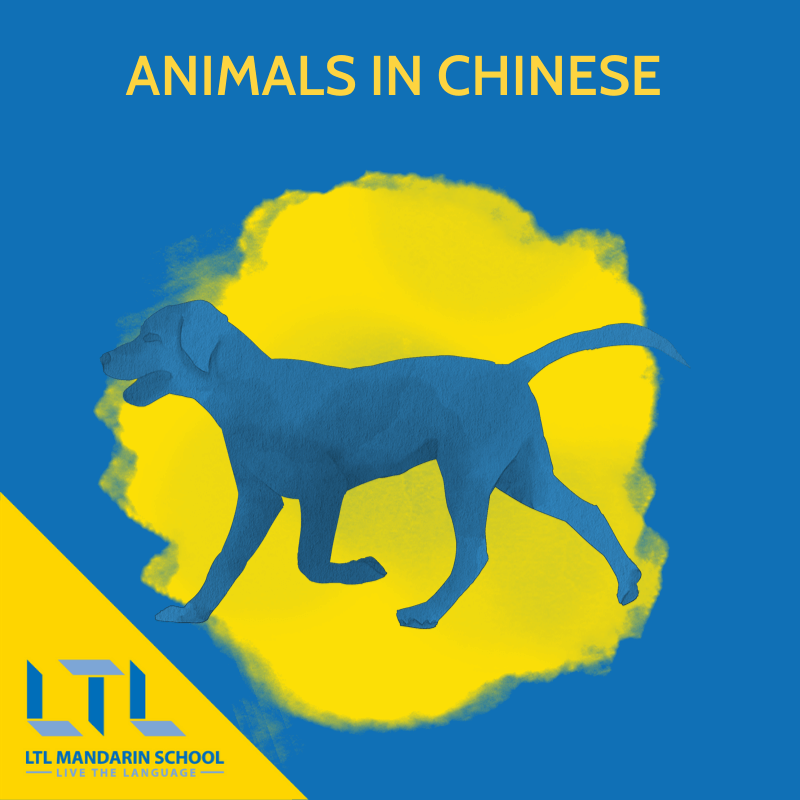 Animals in Chinese