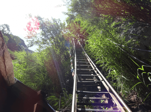 Scary (but fun!) sky ladder at the Tiger Leaping Gorge