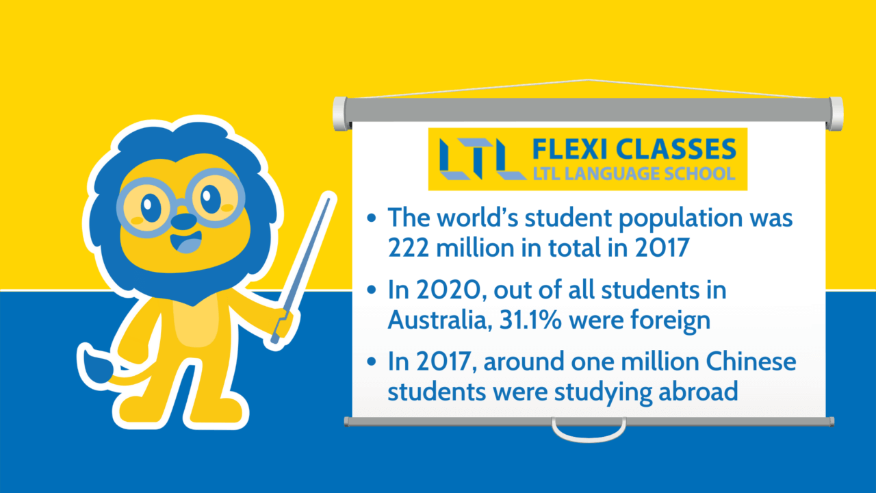 university vs language school - Facts about studying abroad